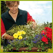 Gärtnerei/Friedhofsgärtnerei