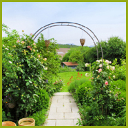 Gartengestaltung/Gartenpflege