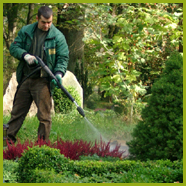 Grabpflege/Grabgestaltung