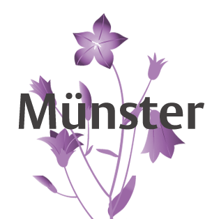 beispielbild für iconboxes