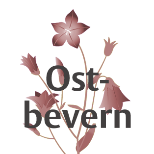 beispielbild für iconboxes