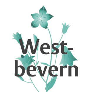 beispielbild für iconboxes